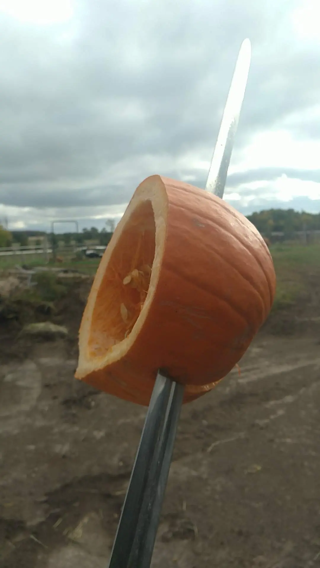Slicing a pumpkin with a sword
