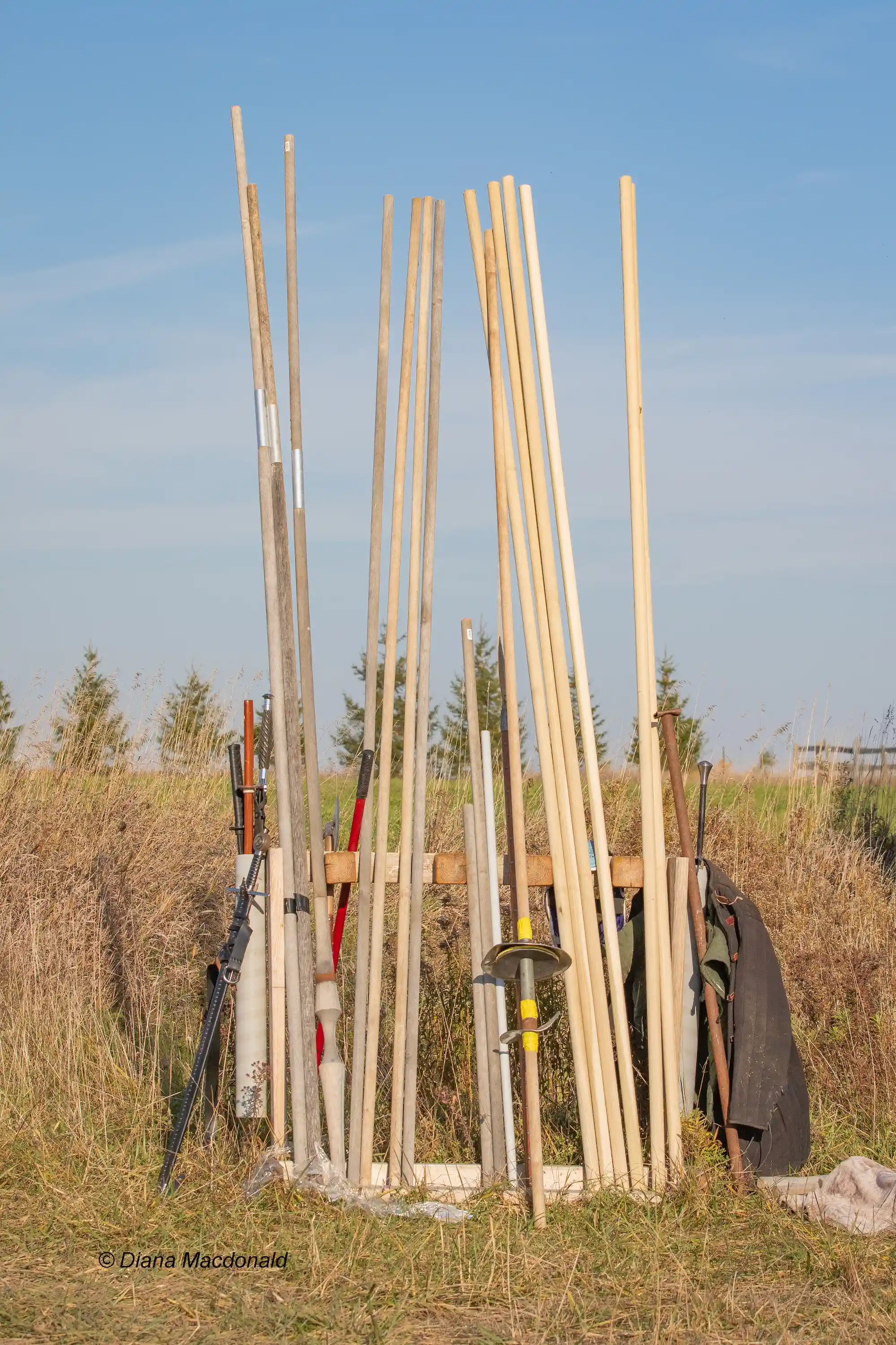 Wooden lances sitting upright in a rack