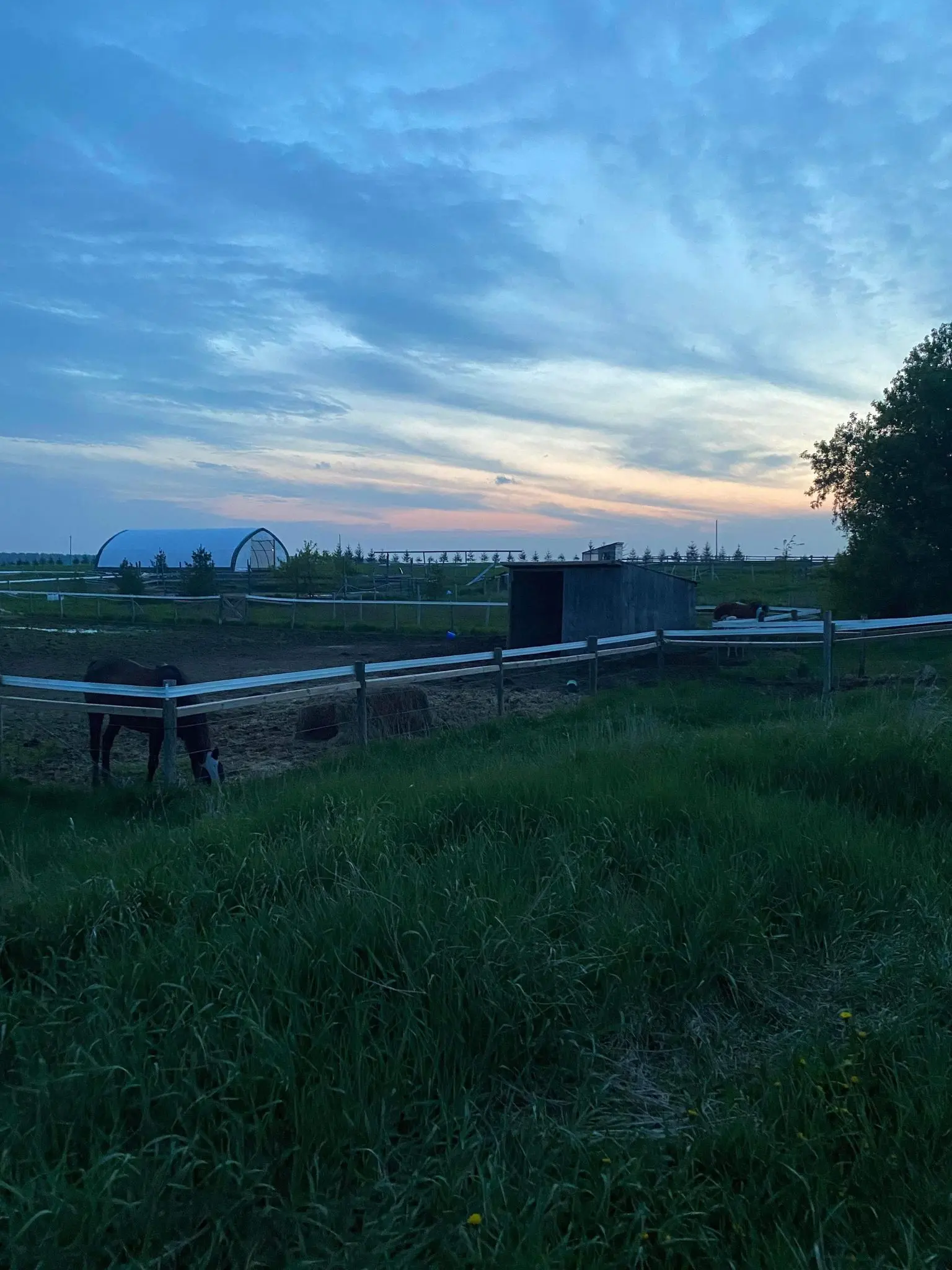Quarantine pasture view